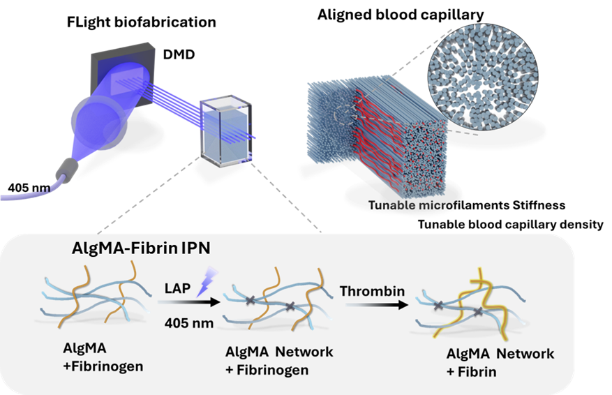 Paper | MATSUSAKI LAB