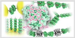 Oohora_Chem_Commun2012