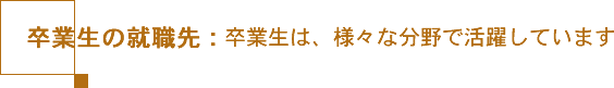 卒業生の就職先:卒業生は、様々な分野で活躍しています。